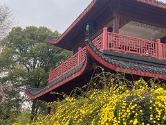 -堤角公园