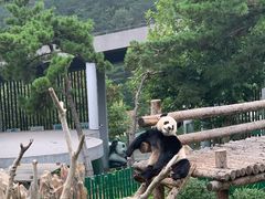 -大连森林动物园