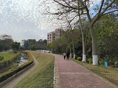 -广东金融学院(校本部)