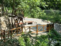 -大岭沟猕猴桃谷风景区