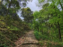 -午潮山国家森林公园