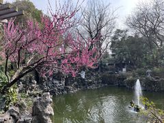-红梅公园