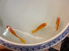 -湖畔居茶楼(湖滨店)