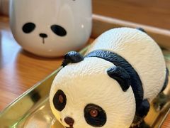 -轩客会(熊猫书店)