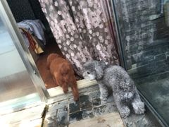 -北京美神宫艺术主题温泉酒店