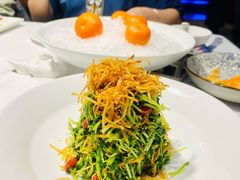 巧拌豆苗-四季民福烤鸭店(王府井灯市口店)