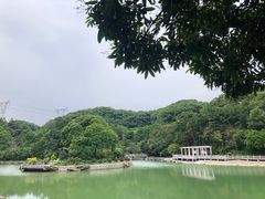 -广州市帽峰山景区