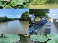 -大湾区中央湿地公园