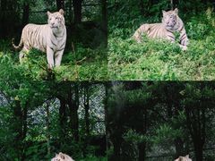 -乐和乐都主题乐园