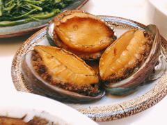 -东方国际水产中心