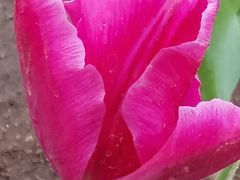 -长春公园(普阳街道)