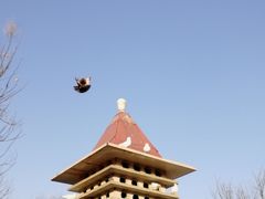 -平西抗日烈士陵园