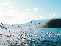 -丽江泸沽湖景区