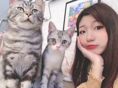 -平行世界·猫咖(首经贸店)