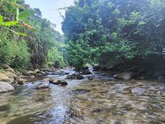 -梧桐山风景名胜区