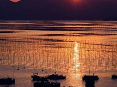-北岐滩涂