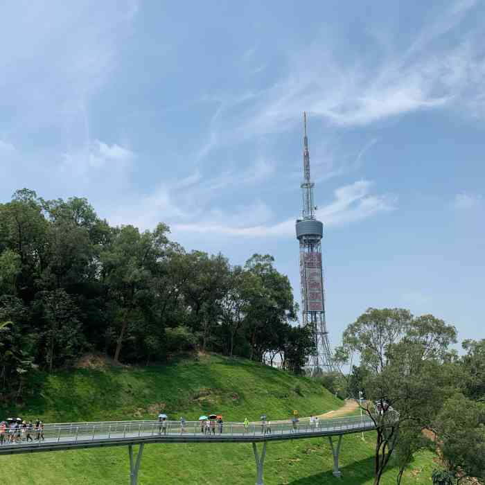 花果山電視臺