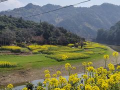 -新安江山水画廊风景区
