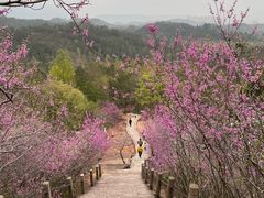 -天台山赤城山景区