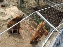 -无锡动物园·太湖欢乐园