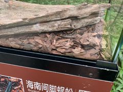 -南宫五洲植物乐园