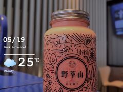 -野萃山·潮汕厚果汁(十亩地店)