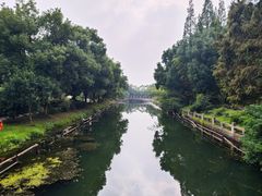 -尚湖风景区