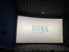 -SFC上影影城(北京大兴龙湖天街IMAX店)