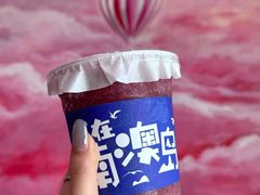 -南澳岛打卡果汁冰公司