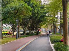 -顺峰山公园