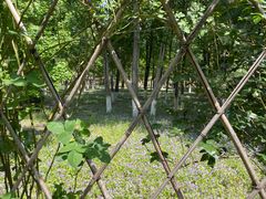 -东升八家郊野公园