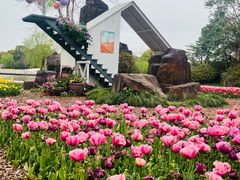 -上海鲜花港