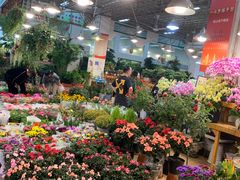 -双季花艺园艺市场(浦东店)