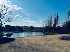 -上海长兴岛郊野公园