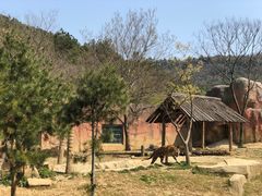 -无锡动物园·太湖欢乐园