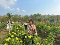 -亚龙湾国际玫瑰谷