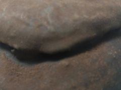 -红跑车(仙鹤街店)