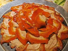 -守柴炉烤鸭(科华中路王府井店)