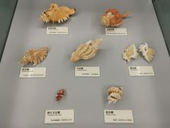 -天津古林古海岸遗迹博物馆