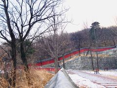 -阳台山自然风景区