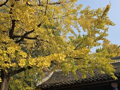 -成都市文殊院