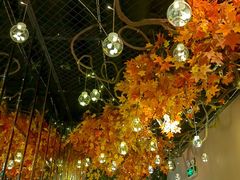 -湖锦酒楼·31年地道湖北菜(黄鹤楼店)