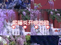 -北京国子监胡同