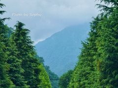 -牛背梁国家森林公园