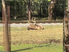 -秦皇岛野生动物园