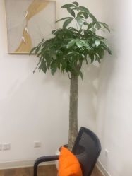 -天津伊美尔医疗整形美容专科医院