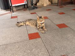 -波特曼西餐厅(南岗店)