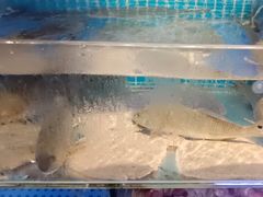 -前王院•巧克力海鲜市集餐厅(万平口店)