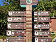 -西双版纳原始森林公园
