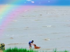 -奉贤海滩